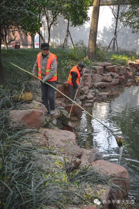 1479283092722718.jpg 1-16040R15302a6.jpg