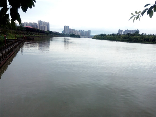 1534245932299716.jpg 2.jpg