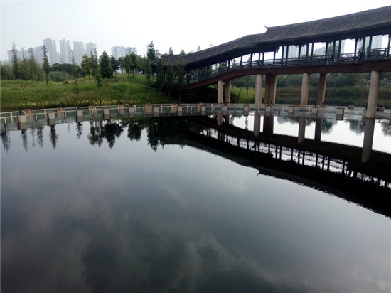 1534246083424508.jpg 6.jpg