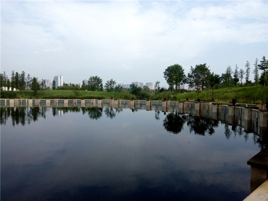 1534246104316369.jpg 7.jpg