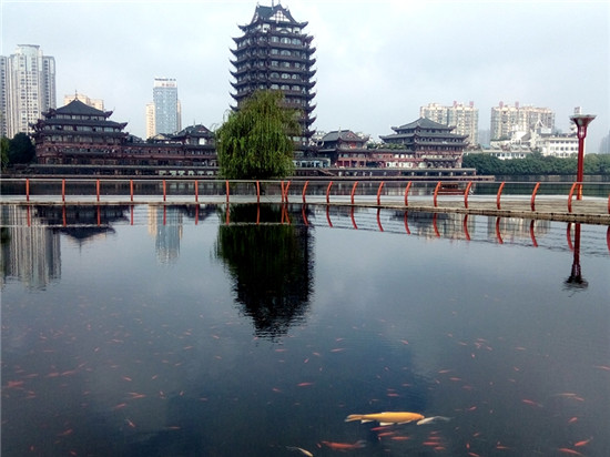 1534246633237234.jpg 3.jpg