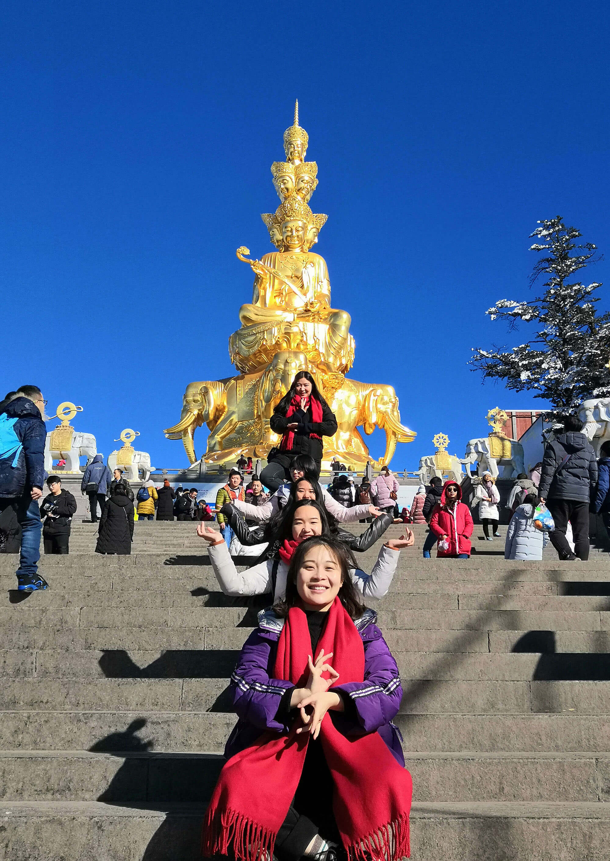 1548206217960254.jpg IMG_0804.JPG