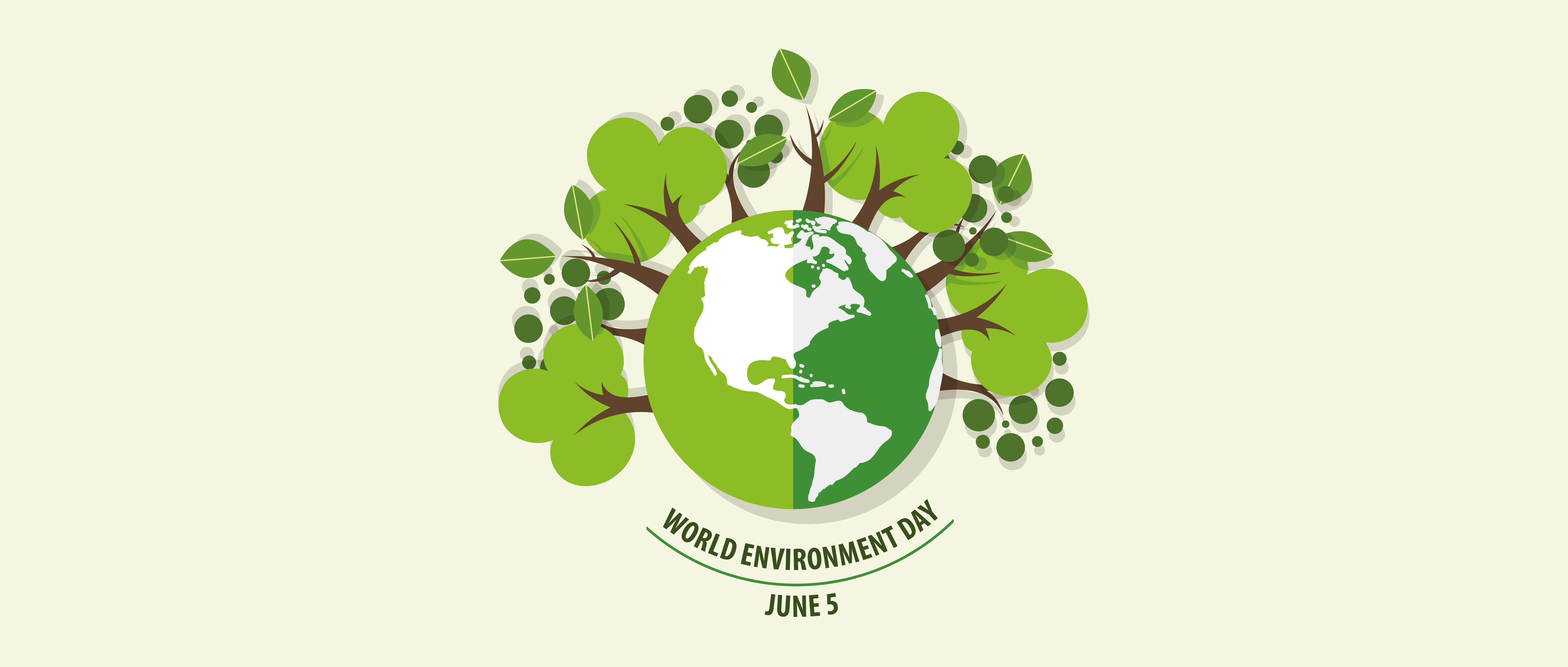 1559789860137060.jpg 4593e.jpg