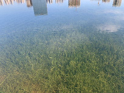 1677656884547794.jpg 2王覺輝 2022-10-19 09-37-34.jpg