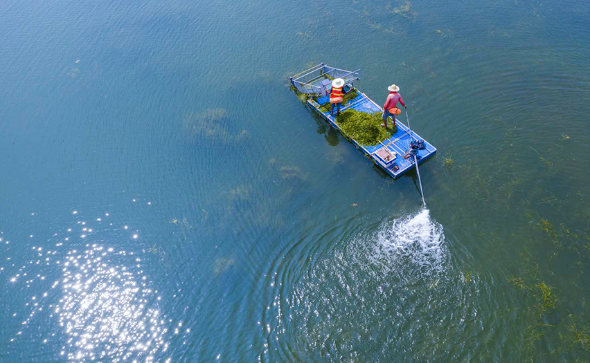 1677657174240848.jpg 21-1.jpg