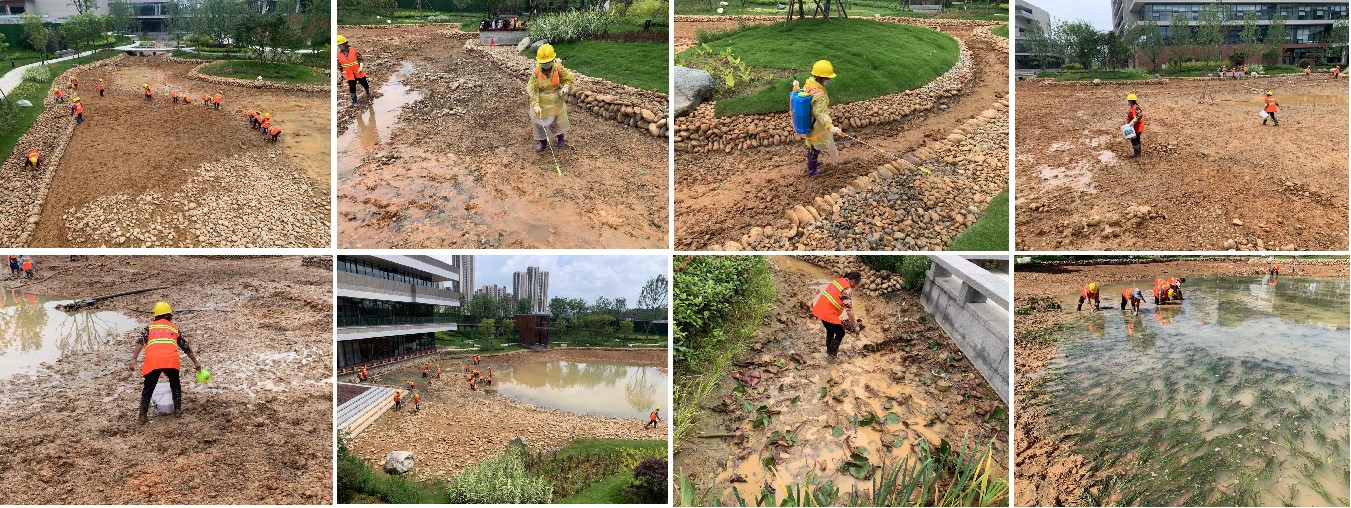 1679969274123131.jpg 拼圖.jpg