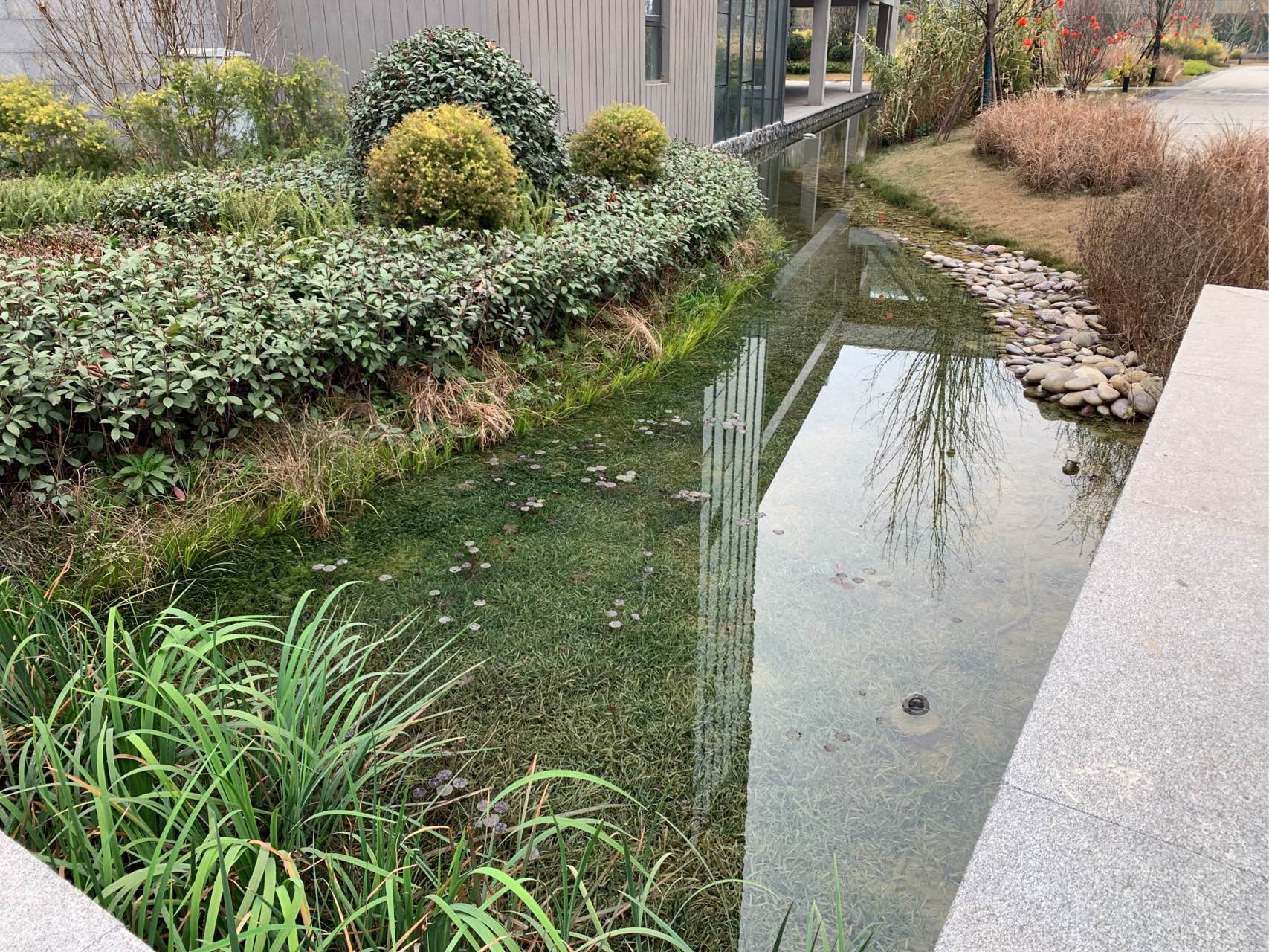 1679989023433975.jpg 王覺輝 2023-02-02無.jpg