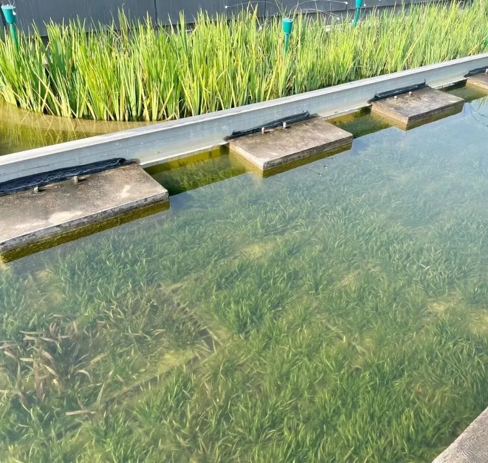 1680071029109515.jpg 1.jpg