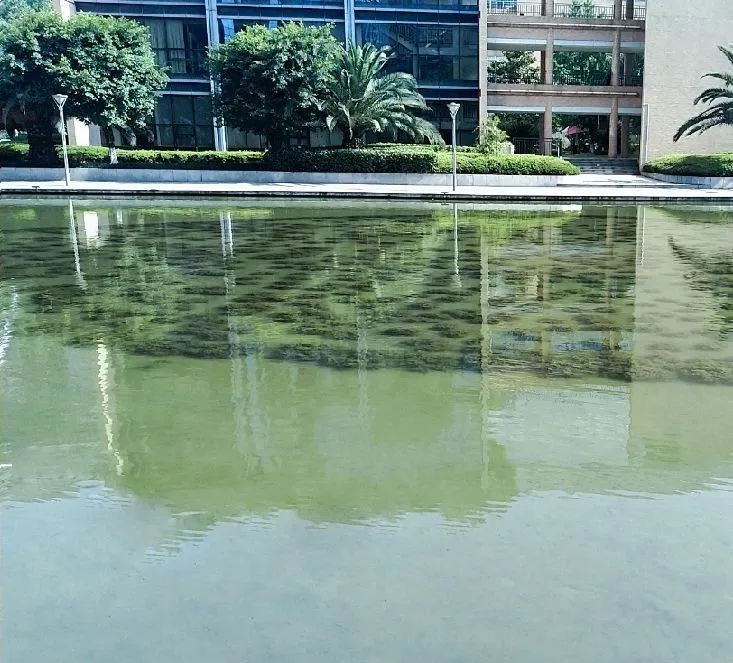 1680071265712821.jpg 15.jpg