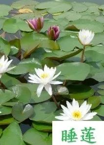 1680147247920449.jpg 12.jpg