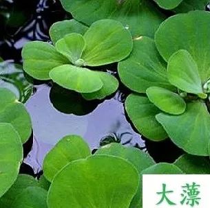 1680147291904786.jpg 15.jpg