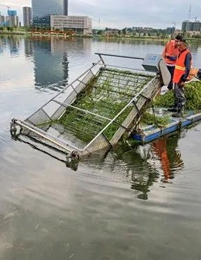 1680147334501793.jpg 18.jpg