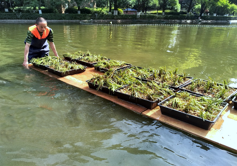 1682668940549515.png 孵化園種植修改.png